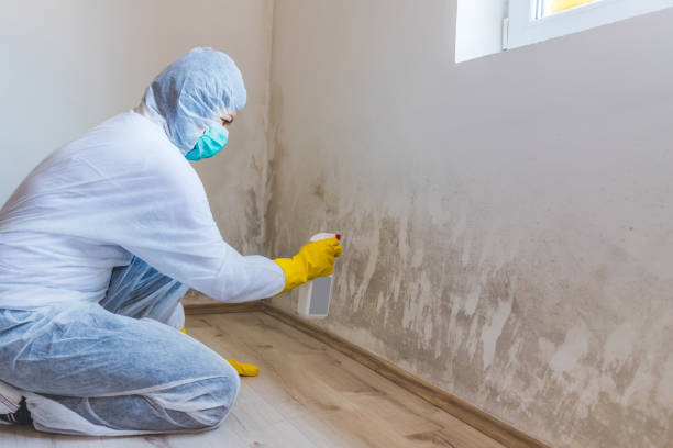 Mold Remediation specialist working in Mechanicsburg